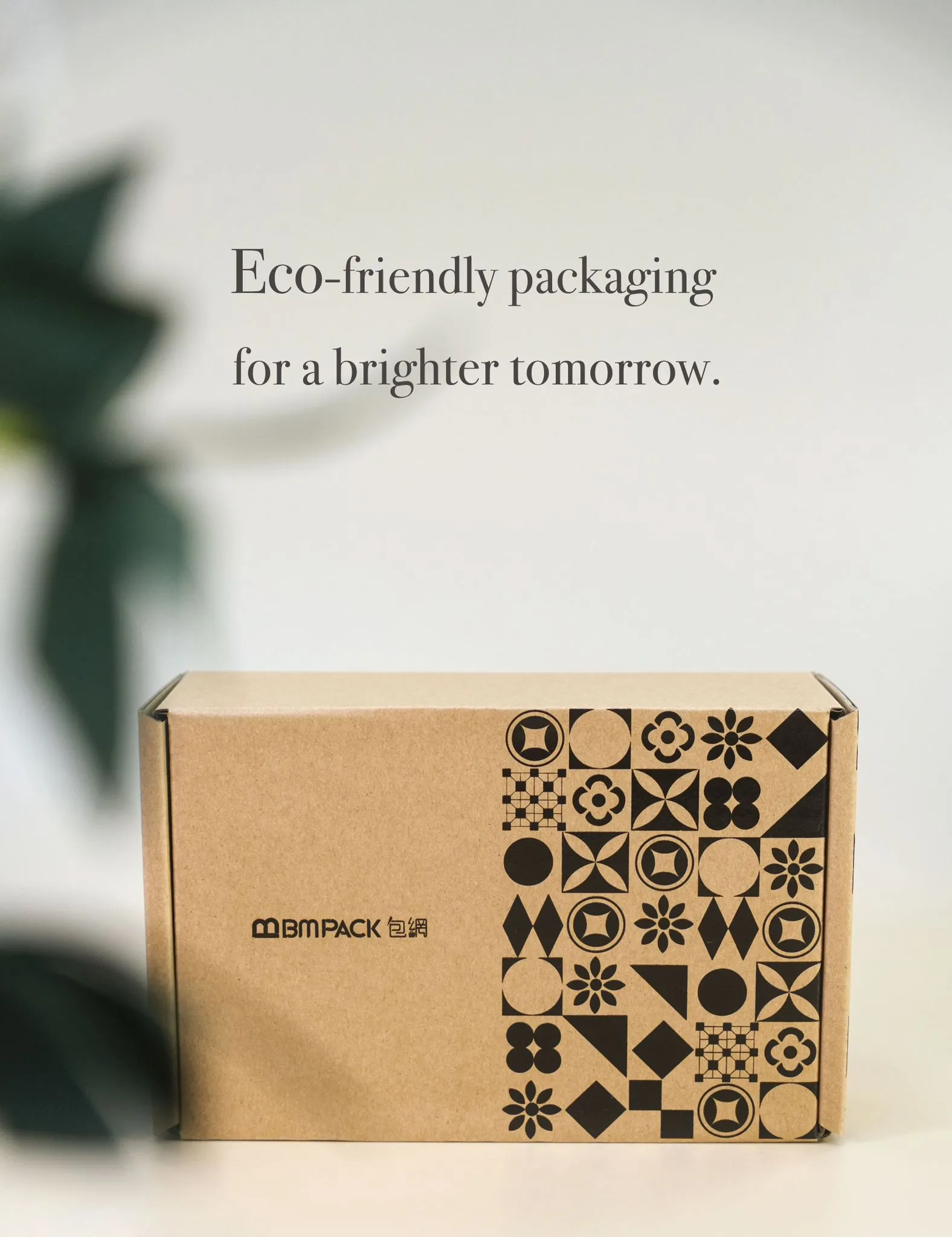 單黑郵寄盒展示在自然背景前，盒子上印有黑色的幾何圖形和「BMpack」的品牌，上方寫著「Eco-friendly packaging for a brighter tomorrow」的字樣。